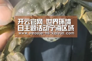 开云官网_世界环境日主题活动宁海区域两家开元酒店在行动(图3) 开云官网