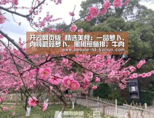 开云官方入口