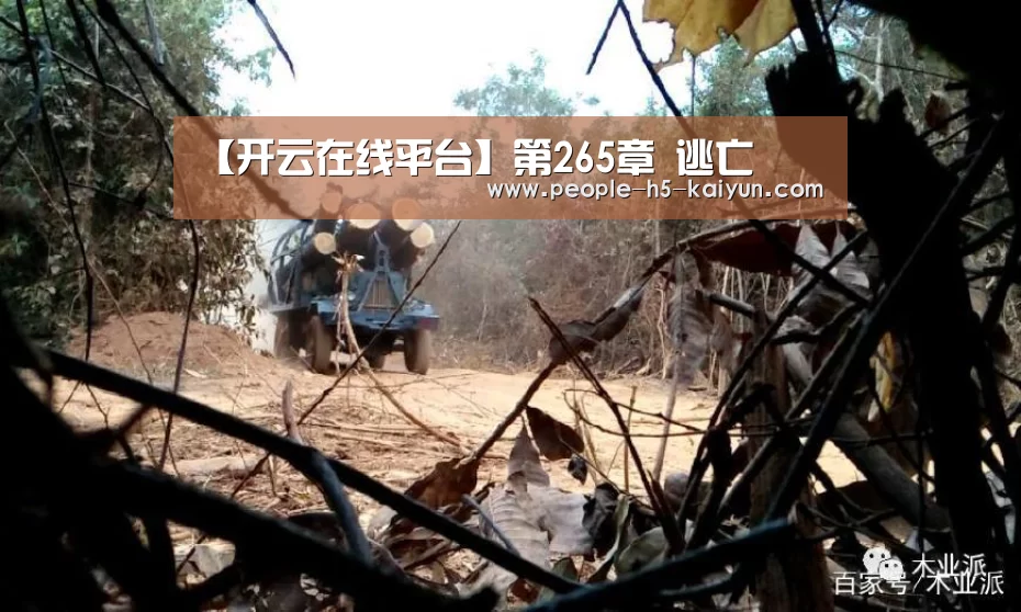 【开云在线平台】第265章 逃亡(图1) 开云网页版